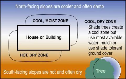 Gardening diagram for planting